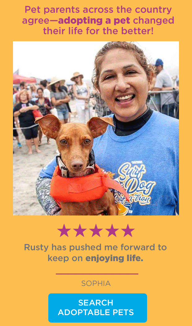 Search Adoptable Pets.