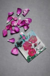 Flowering Vellum Favor Bags Flowering Vellum Favor Bags