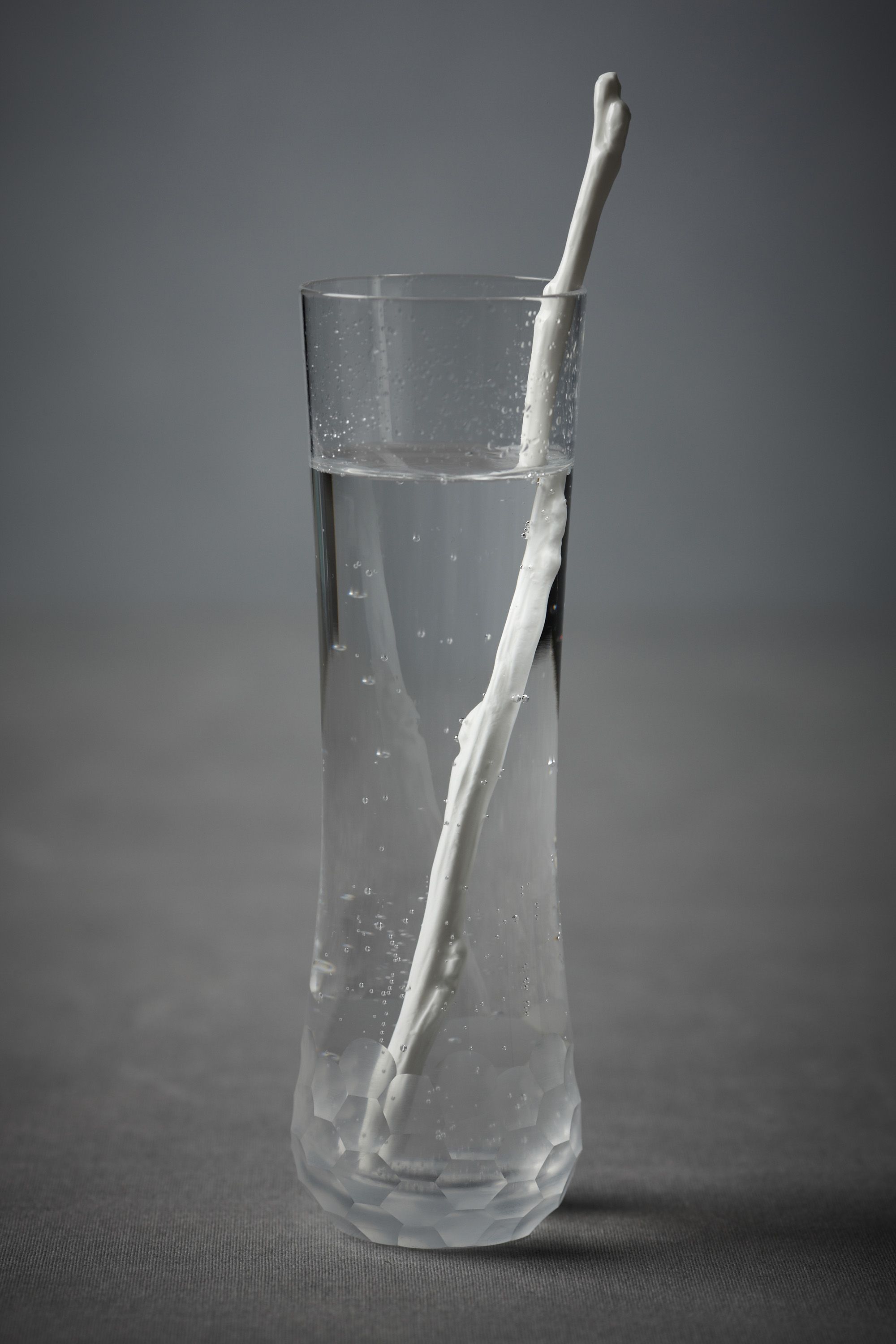 Bonny Branch Drink Stirrers (12)