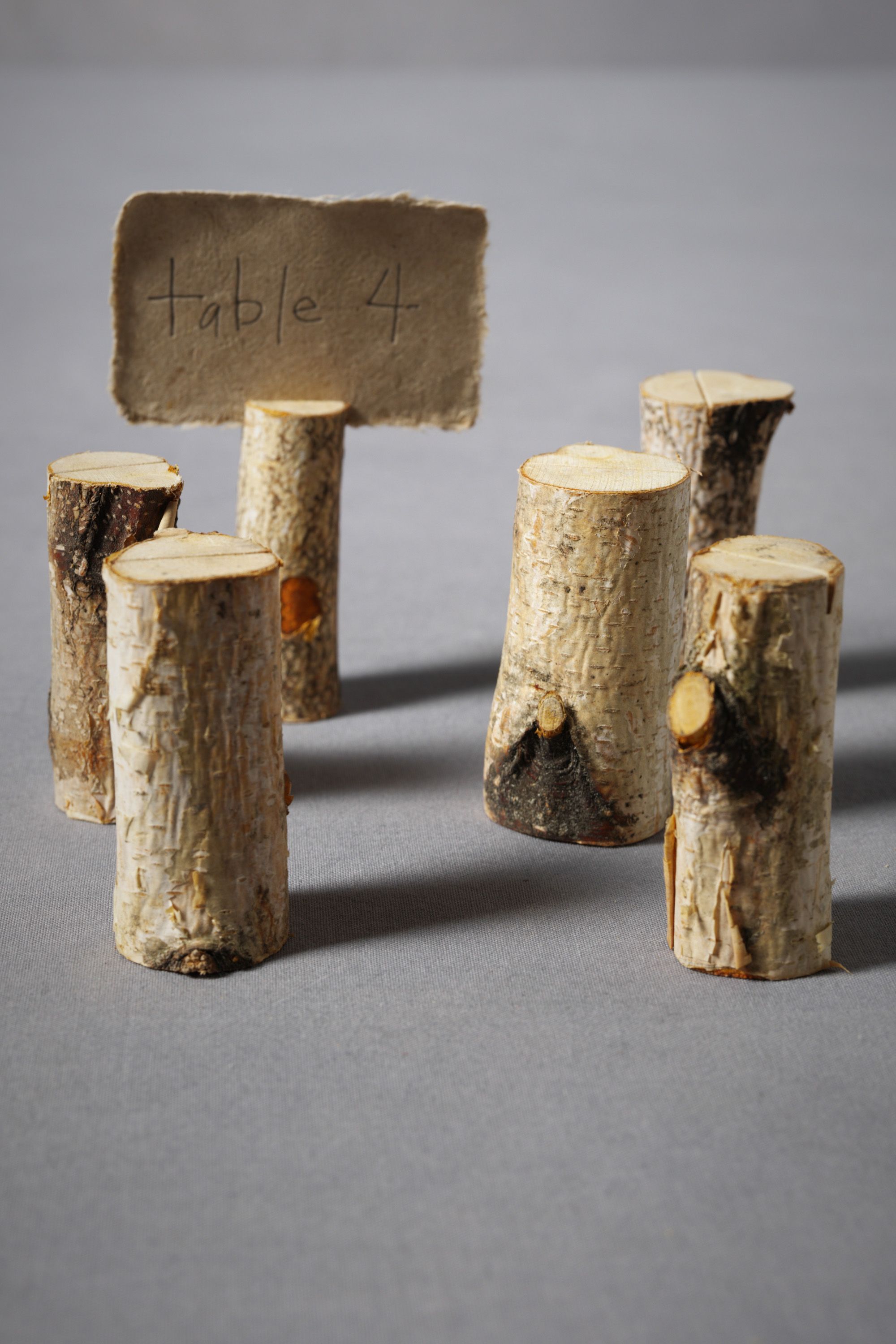 Sliced Birch Placeholders (6)