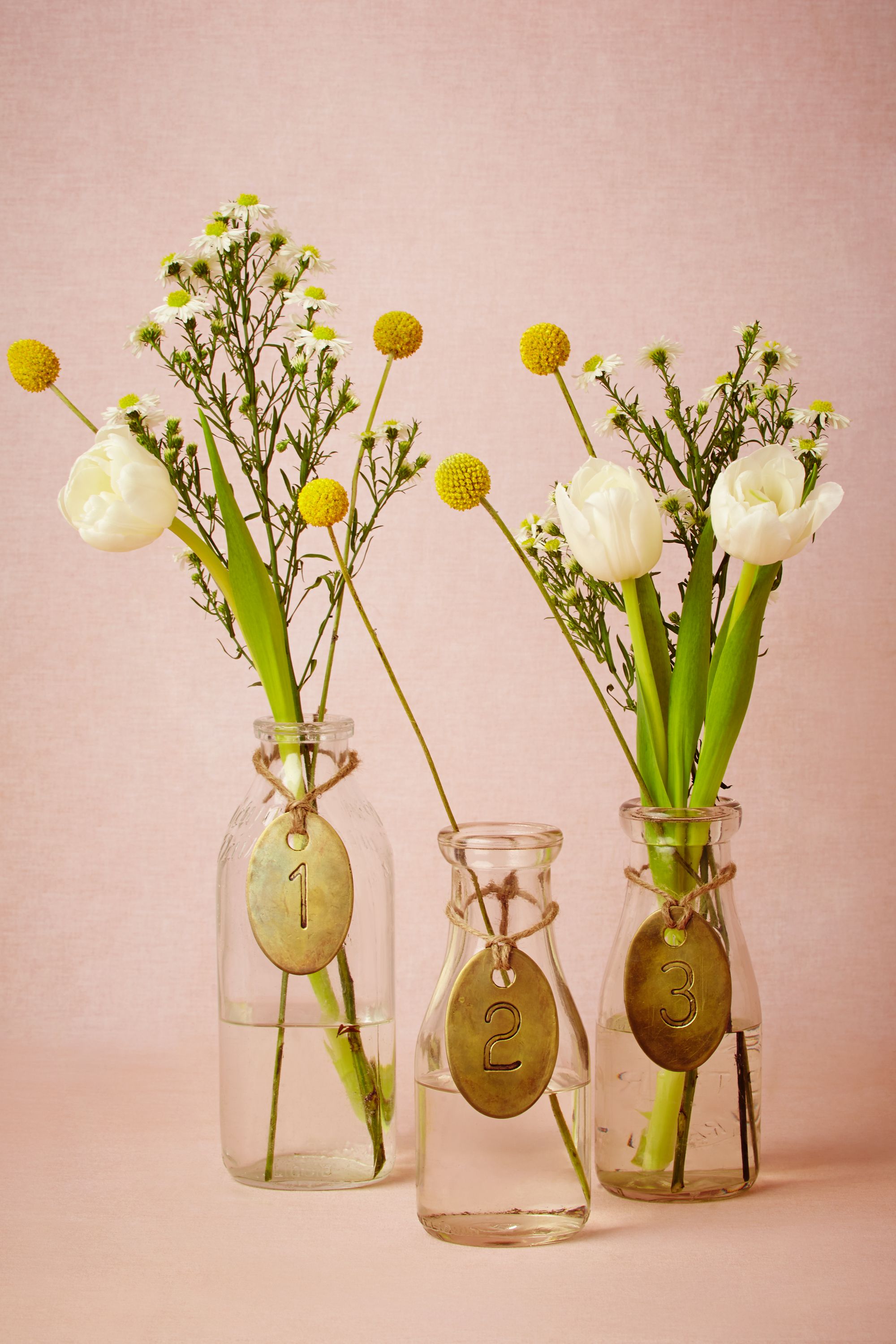 Antique Brass Tags