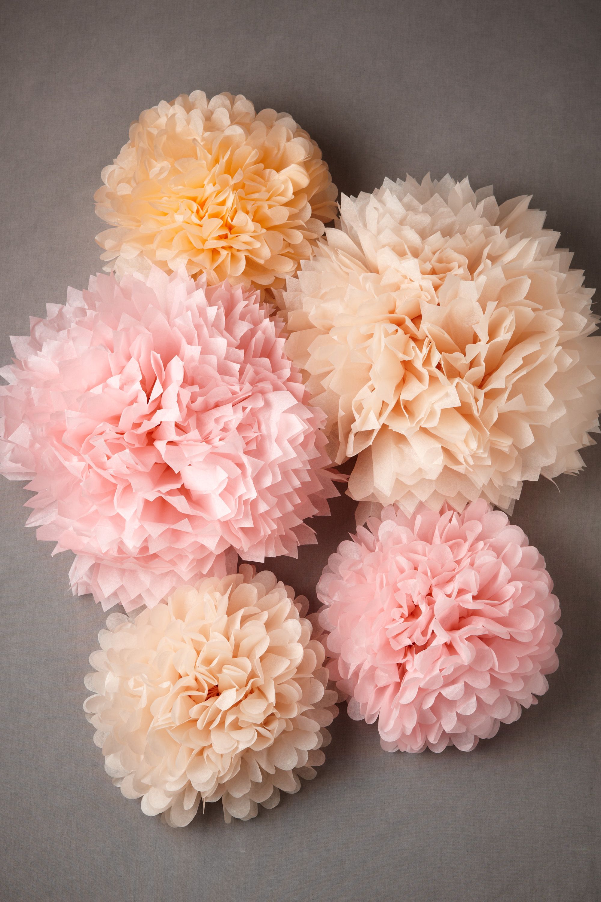 Papered Pom Set (5)