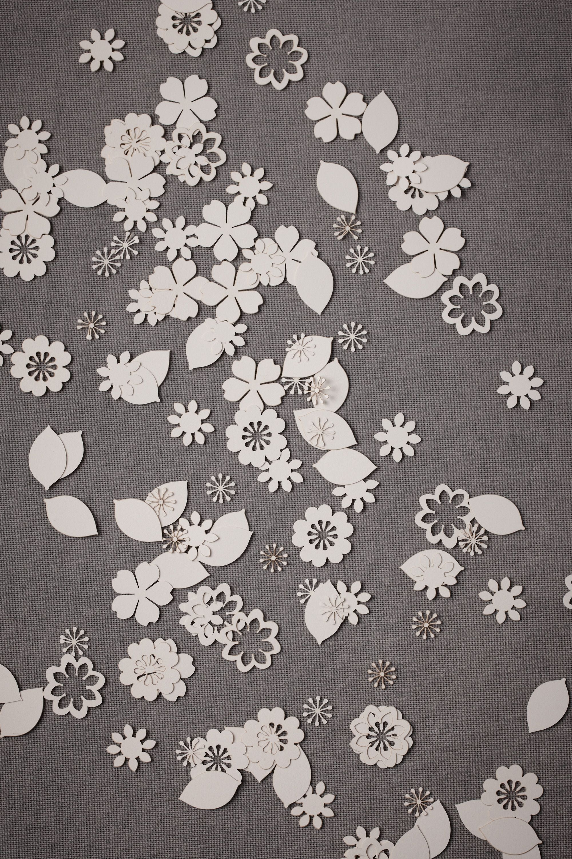 Blooming Orchard Confetti