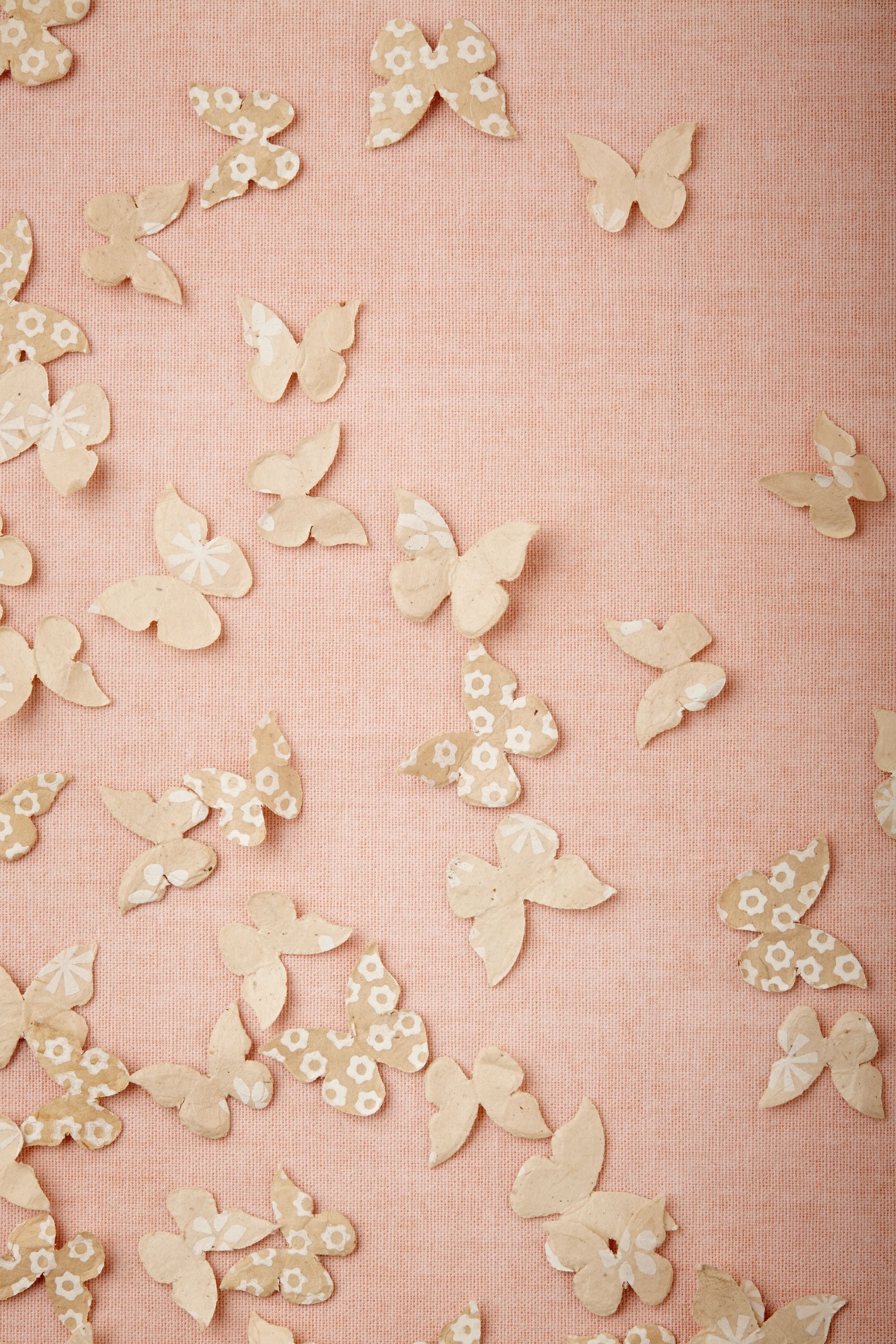 Butterfly Confetti