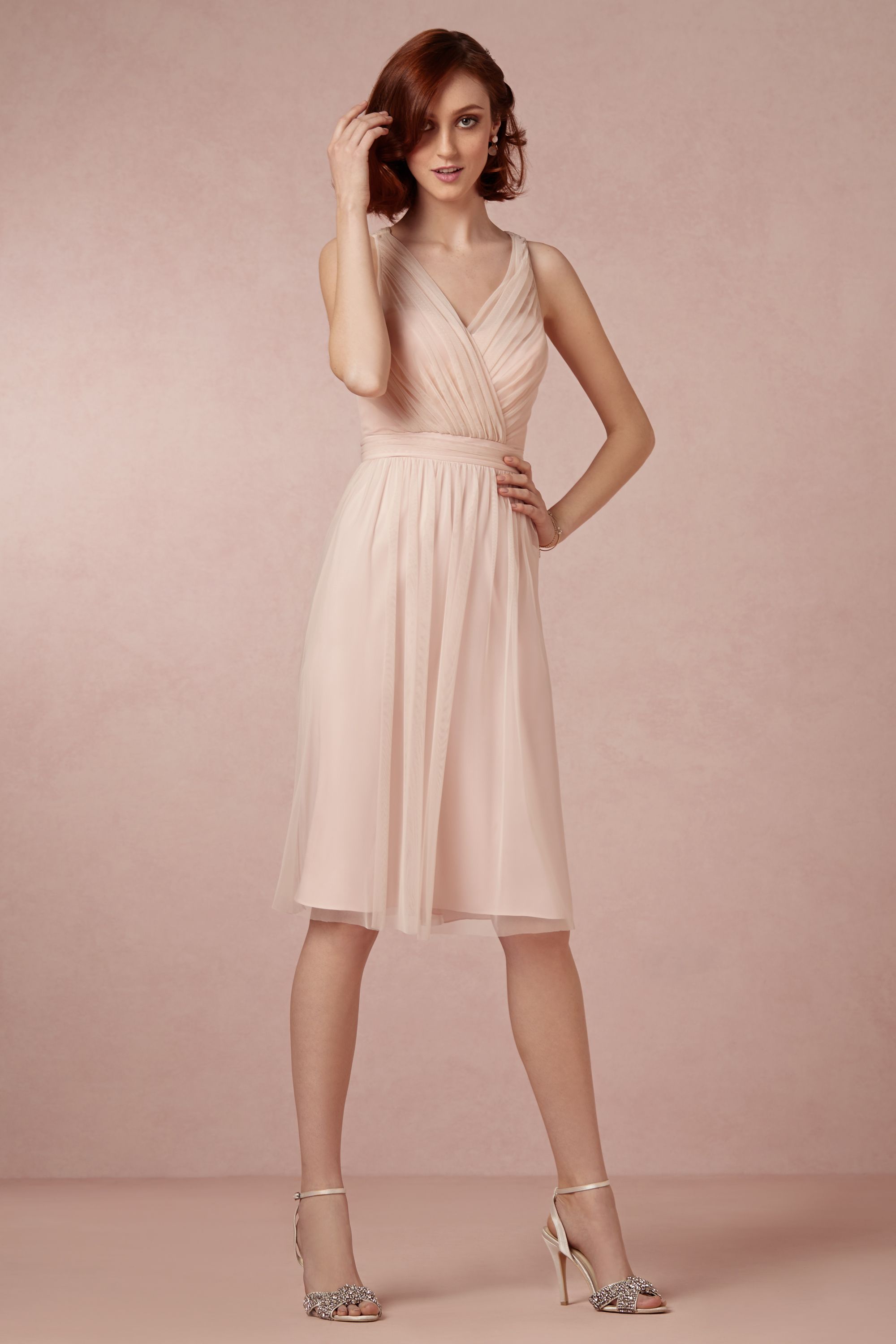bhldn tansy