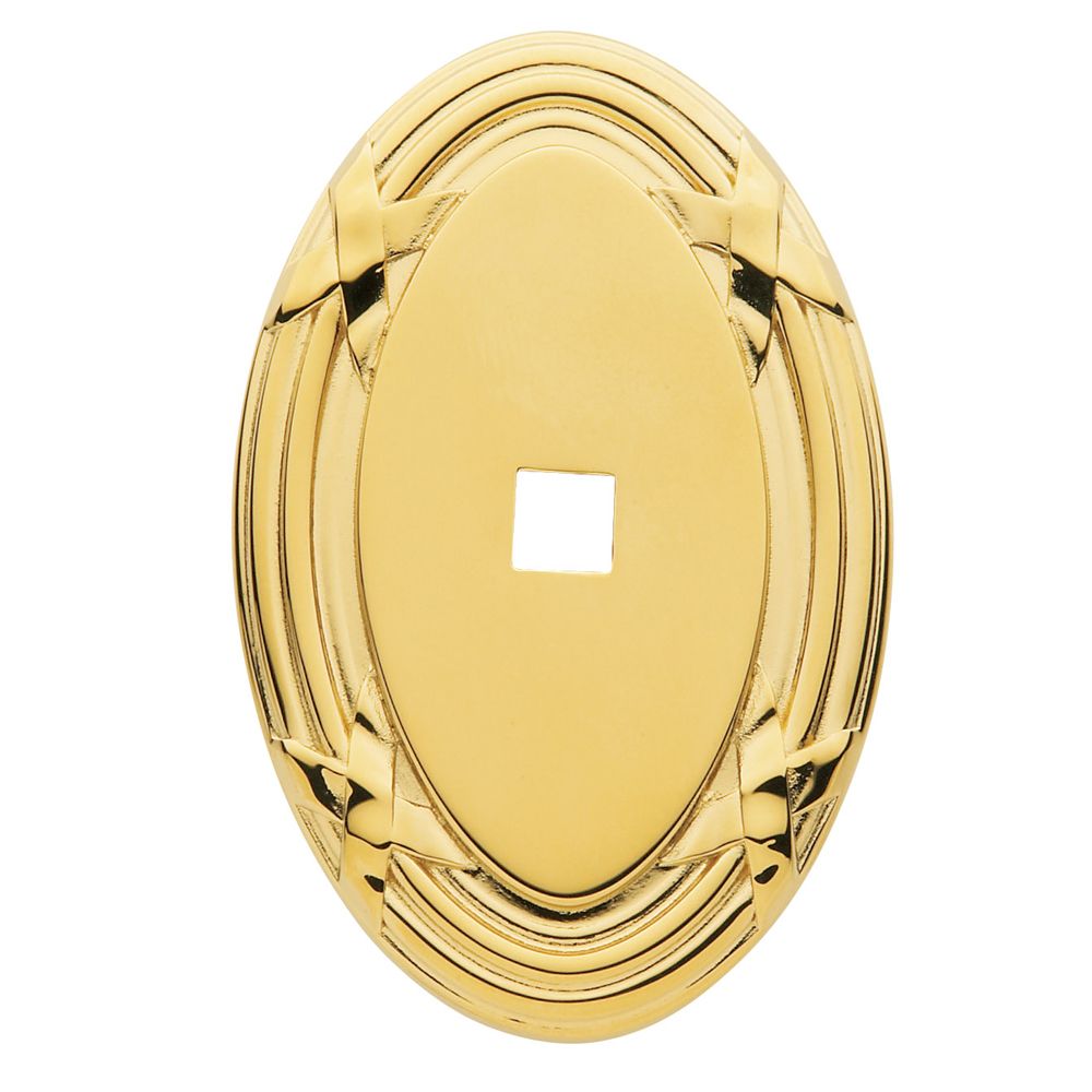 4619 Back Plate