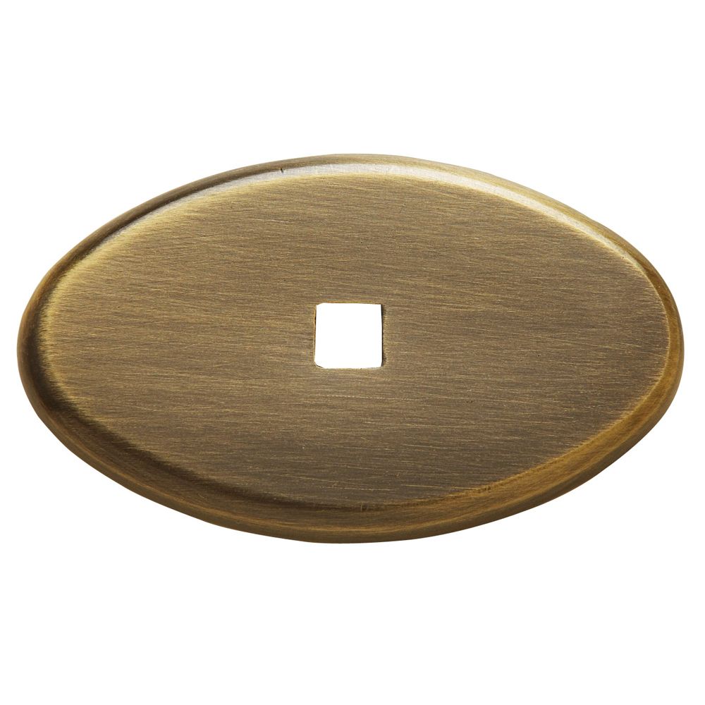 4905 Back Plate
