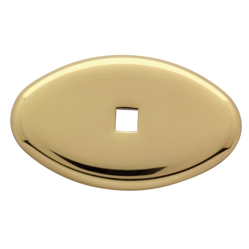 4905 Back Plate