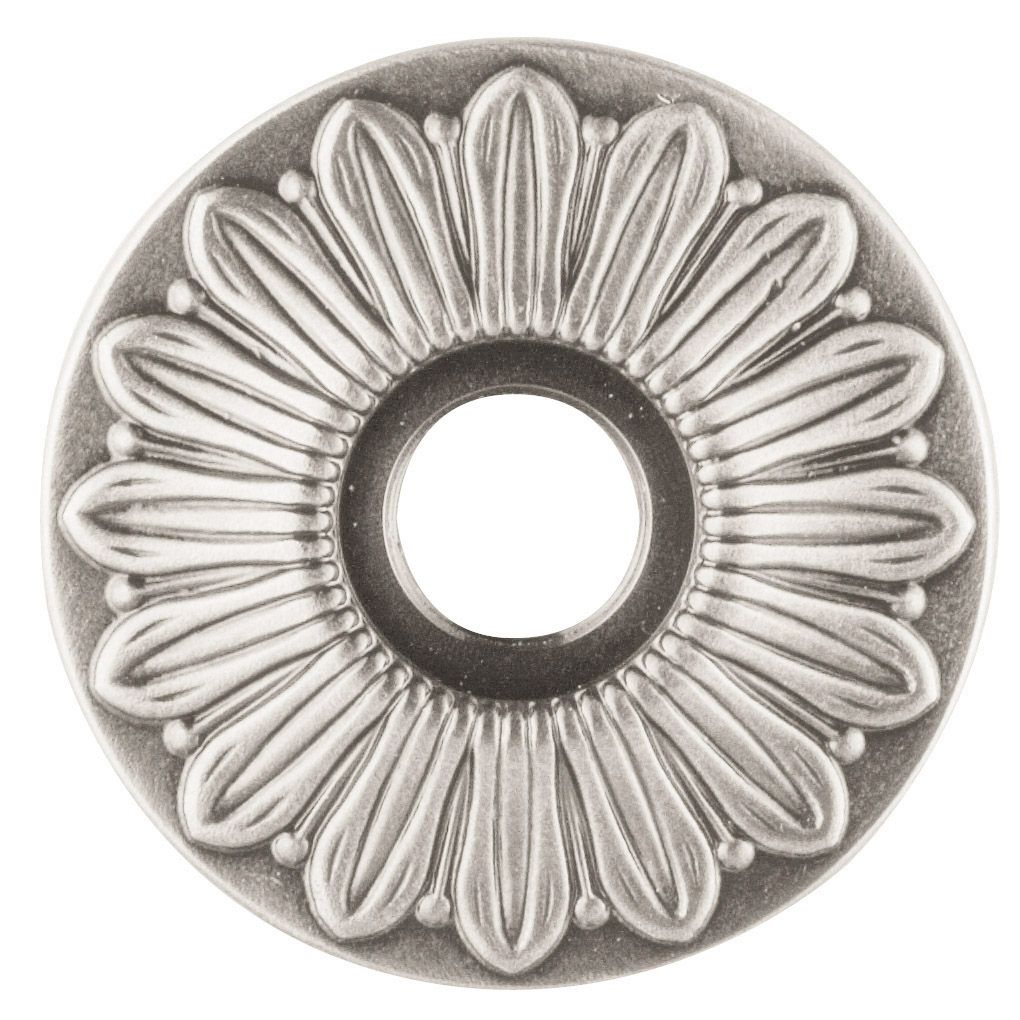 5019 Rose
