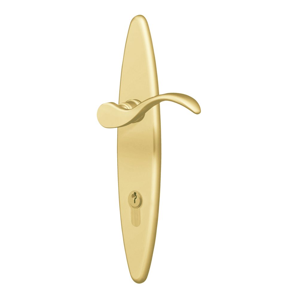 Springfield Multipoint