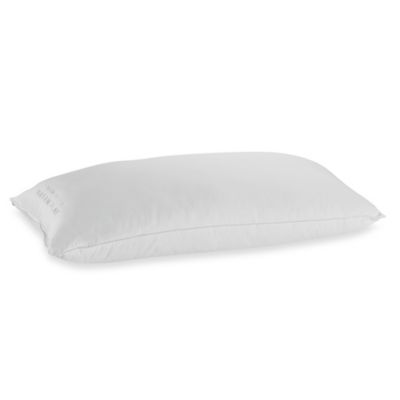 wamsutta dream zone pillow