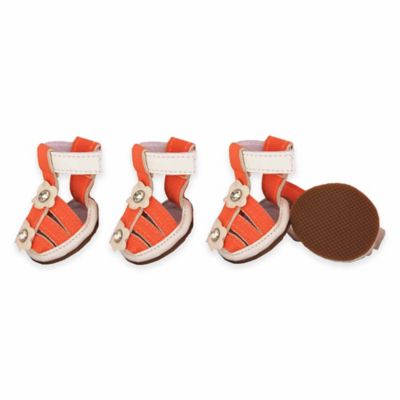 bed bath and beyond sandals
