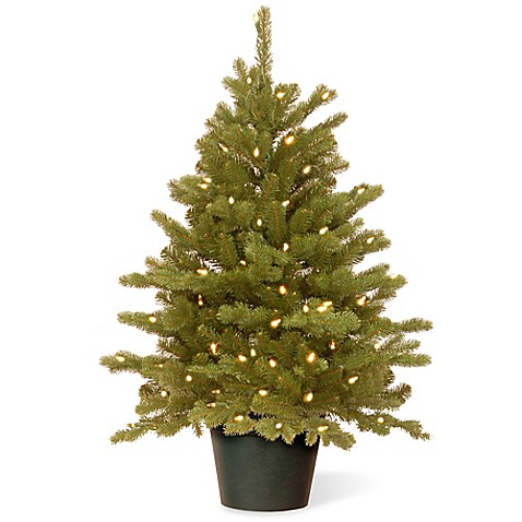 National Tree 3-Foot Hampton Spruce Pre-Lit Christmas Tree with Clear Lights in Growers Pot ...