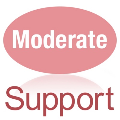 Support Level