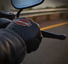 Gloves