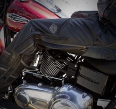 Riding Pants & Chaps