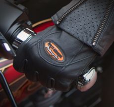Gloves