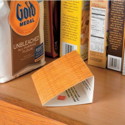 Pantry Moth Traps