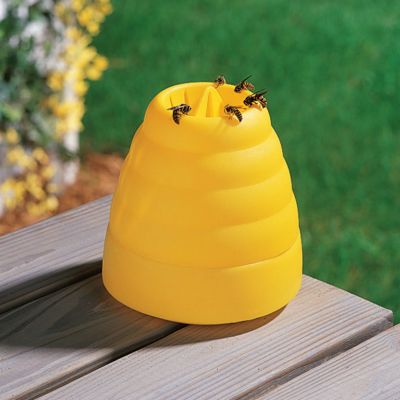Insect Repellents