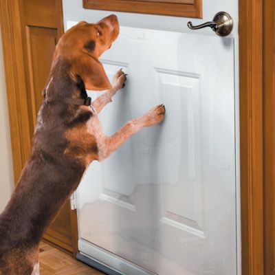Door Shield