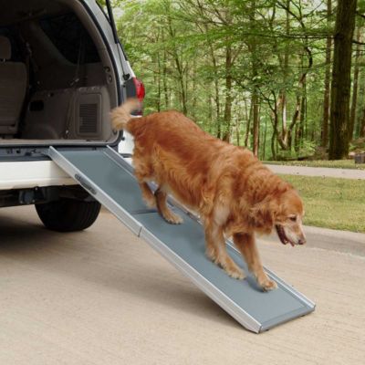 Dog Stairs