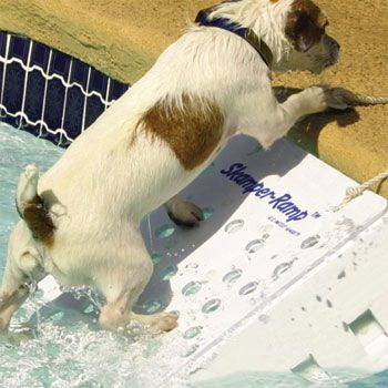 Pet Water Ramp