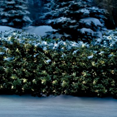 White Christmas Net Lights