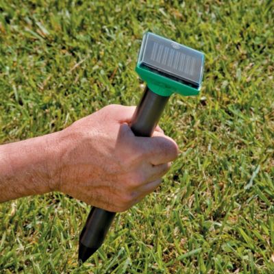 Solar Mole Repeller