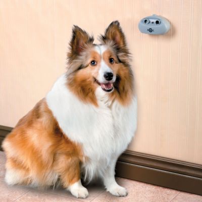 Indoor Bark Control