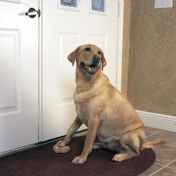  Pet Chime