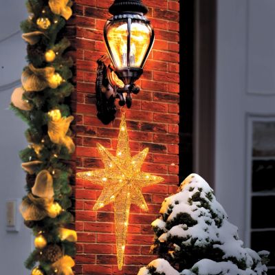 Star of Bethlehem