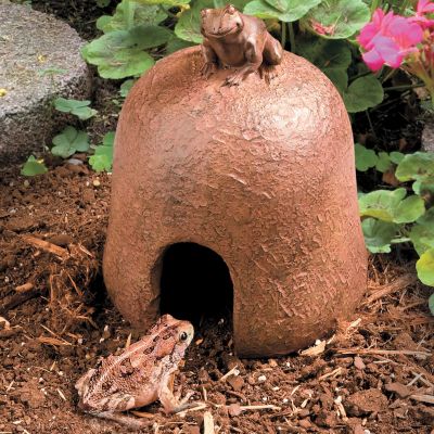  Toad House