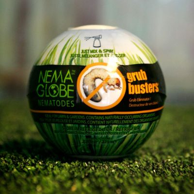 Lawn Grub Busters