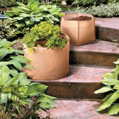 Jute Planters