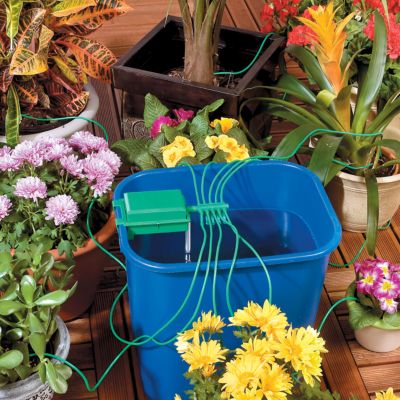  Automatic Plant Watering System with Bucket