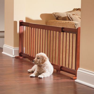 Dog Gates