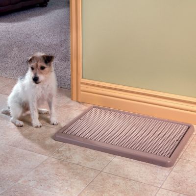 Indoor Dog Potty