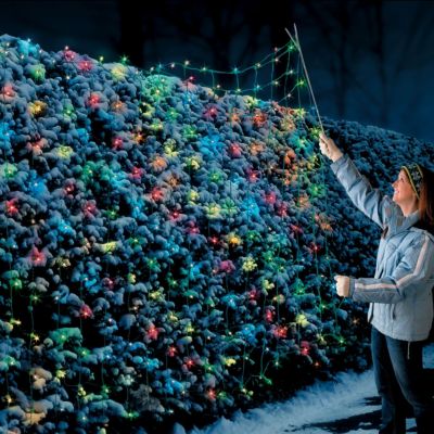 Net Christmas Lights