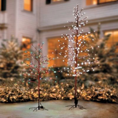 Lighted Outdoor Christmas Trees