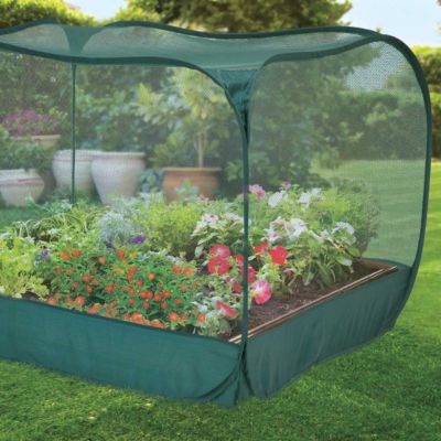 Pop Up Bird Net