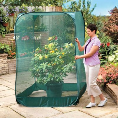 Pop Up Bird Net