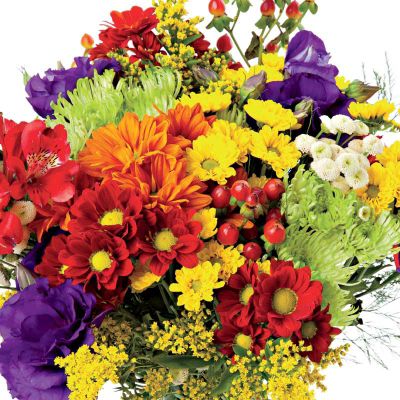 Pre-Seeded Summer Bouquet Roll Out Flowers