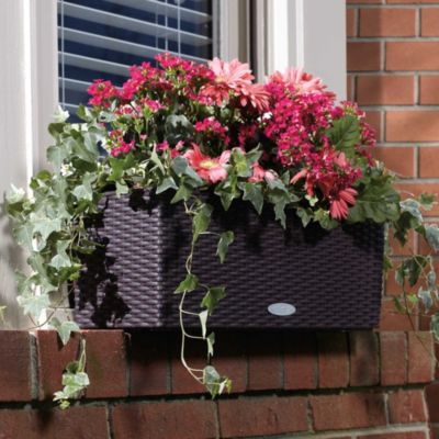 Self-Watering Window Planter