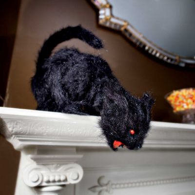 Halloween Cat