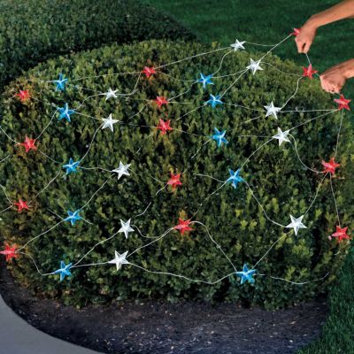 4th of July Net Lights