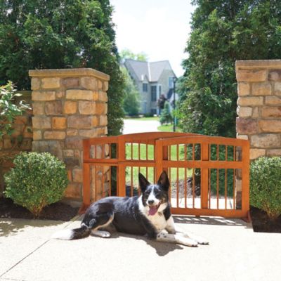 Dog Gates