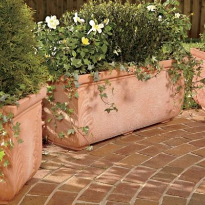 Renaissance Planters