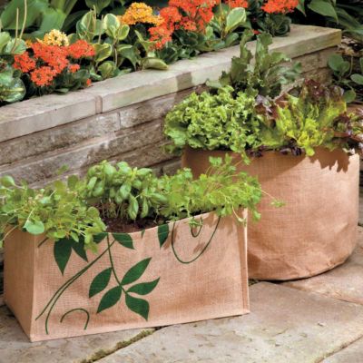 Jute Planters