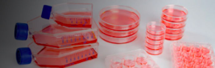 Explore lab plasticware and supplies