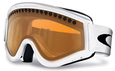 Oakley EFrame Snow Goggle Moosejaw